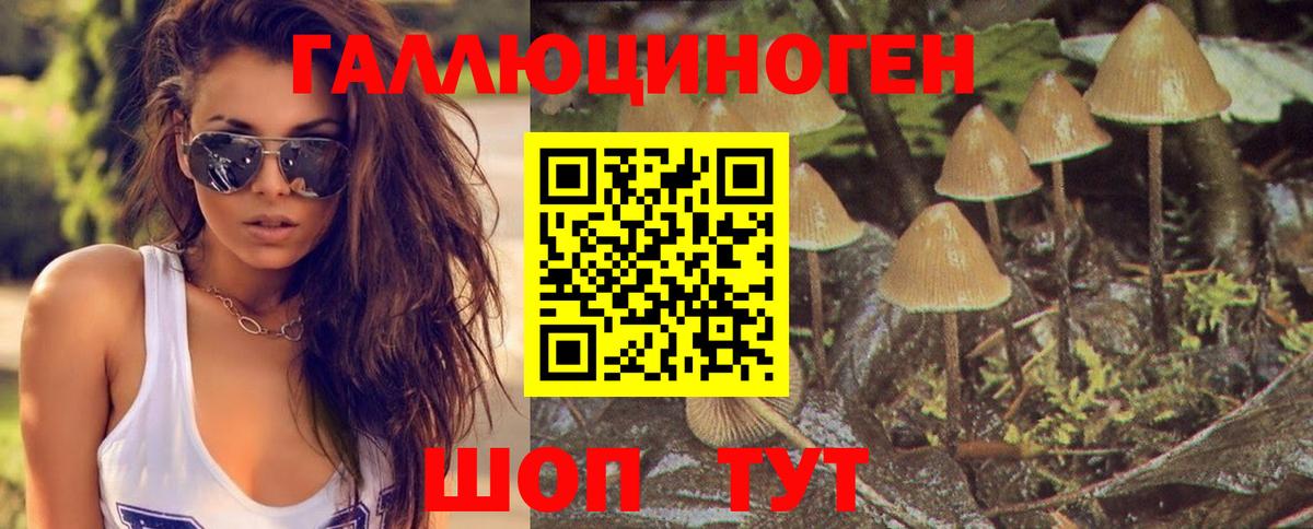 Абакан  цены наркотик  Вход с VPN  Галлюциногенные грибы Psilocybe 
