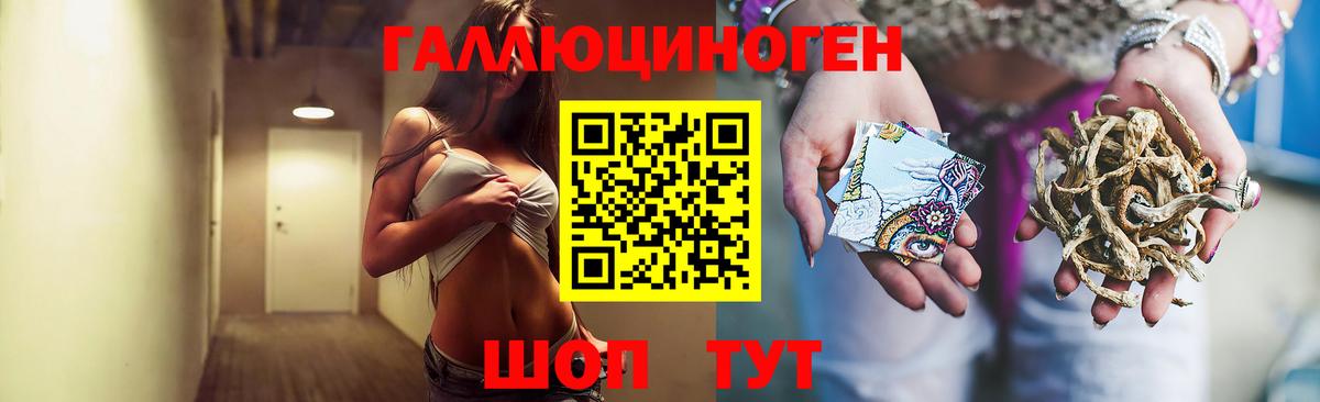 Псилоцибиновые грибы Cubensis Абакан